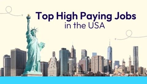 Highest-Paying Careers in the USA